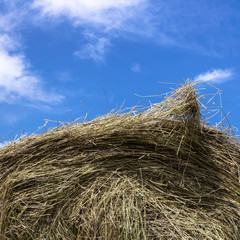 Bale of hay