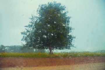Fototapeta premium Tree in the field through the wet window