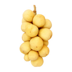 Wollongong isolated on the white background