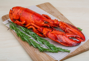 Lobster
