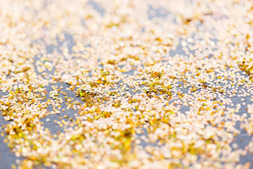 golden glitter or yellow sequins background