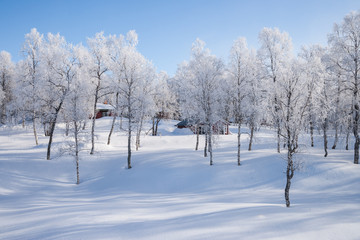 Fototapeta na wymiar Sonniger Wintertag in Schweden