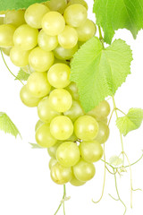 grappe de raisins blancs