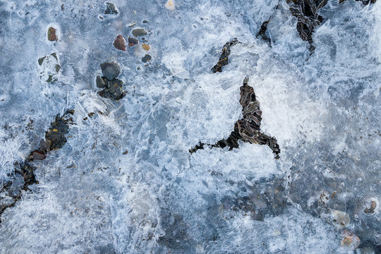 Braunalgen bedeckt mit Eis