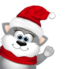 Funny Christmas cat.