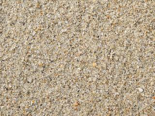 Sand texture. Sandy beach for background