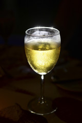 Glass with beer on the counter light