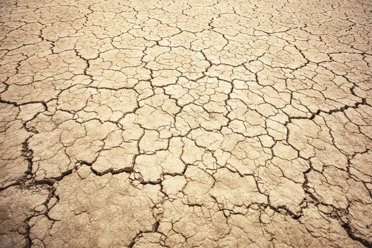 Land with dry and cracked ground texture. Desert, hot climate, dry salt earth