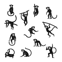 funny monkeys set