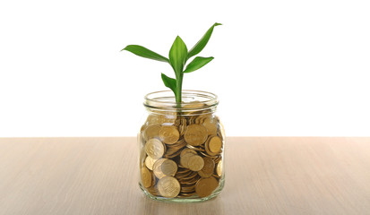 Money and growing sprout in glass jar on table