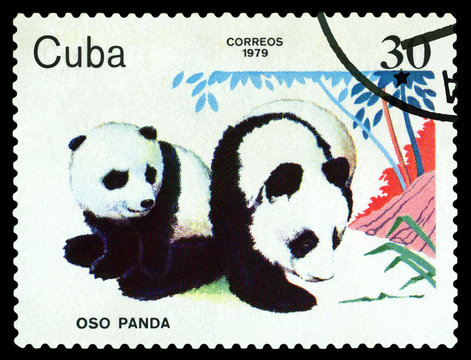 Stamp.  Pandas.