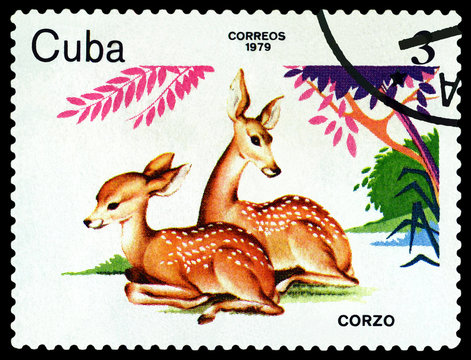 Stamp. Deer.