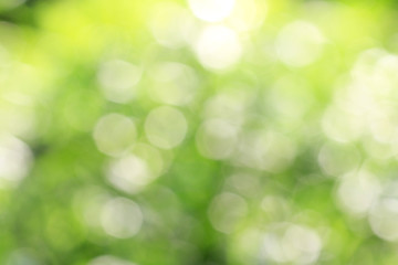 Obraz premium Tło z naturalnego światła bokeh.