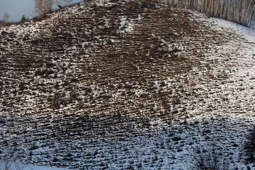 Background winter mountainside with trees