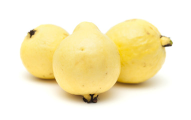 yellow guava fruit