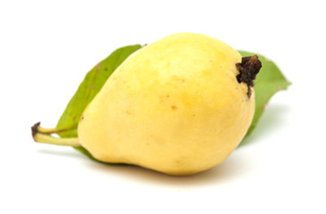yellow guava fruit