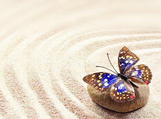 Naklejka na ściany i meble Butterfly on sand