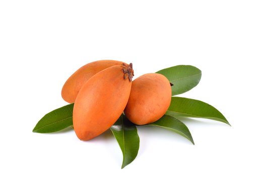 Fresh sapodilla with leaves  on white background