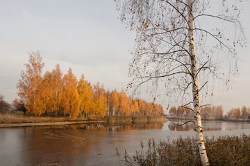 Foto auf Leinwand red birch trees at the lake in the ice © makam1969