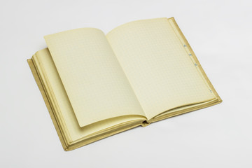 An old notebook that can be used as a journal, to make lists or to take notes.

Its paper is yellowed with age and its pages are blank. This is perfect to use as the base of your work! 
