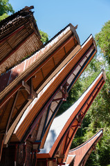 Very Unique and Traditional houses of Tana Toraja with Buffalo horns on Sulawesi