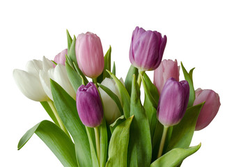 Posy of tulips