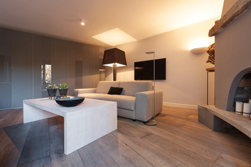 Interior, comfortable living room