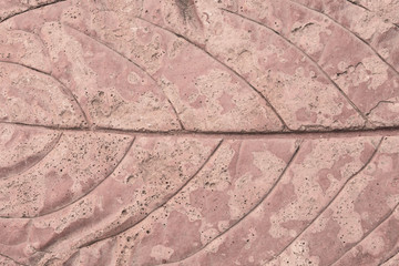 Background cement leaves motifs