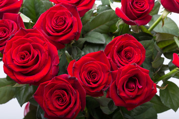 bouquet of blossoming dark red roses