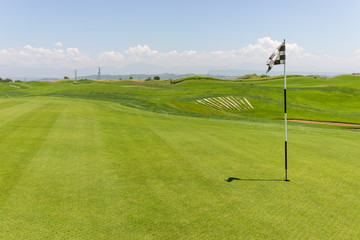 Obraz premium Perfect grass meadow