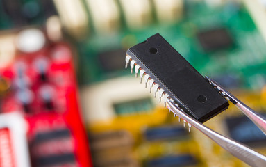 specialist take microchip by forceps