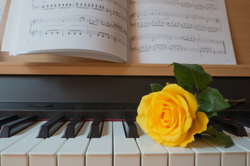 Gelbe Rose auf dem Piano