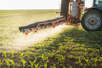 Naklejka premium Tractor spraying pesticides