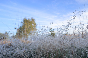 blue sky