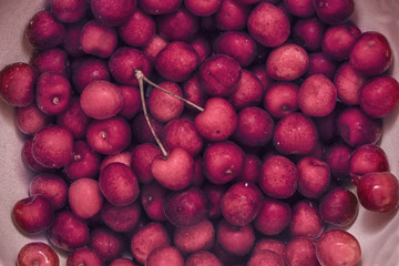 sweet red cherry background