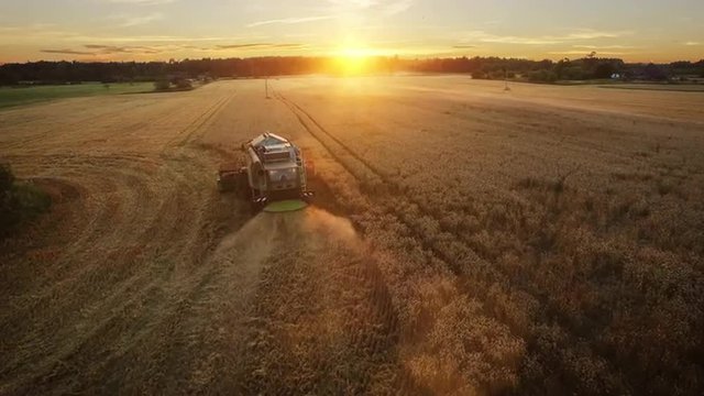Aerial drone shot of a combine harvester working in a field at sunset.