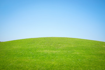 Fototapeta premium Perfect grass meadow