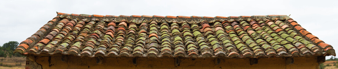 Viejo Tejado de Caseta de Adobe