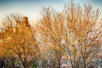 crenellated tower behind trees