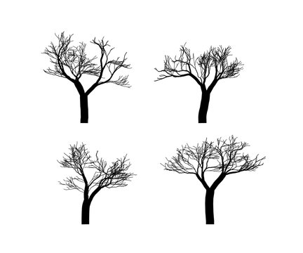 Vector trees black silhouettes isolated on white.
