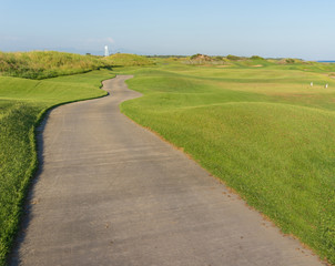 Perfect grass meadow