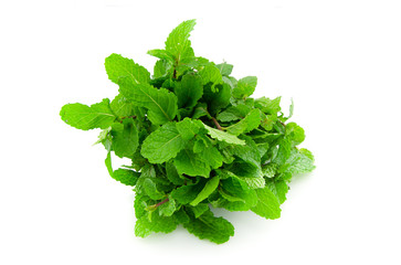 Fototapeta premium mint leaf on isolated background