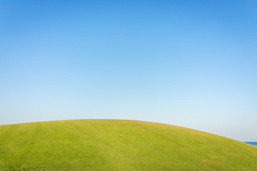 Fototapeta premium Perfect field and sky