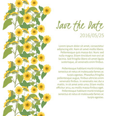 Flora  sunflower  retro vintage background