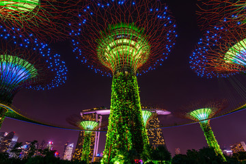Super Trees are vertical gardens that perform a multitude of functions .