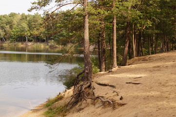 plaża nad jeziorem