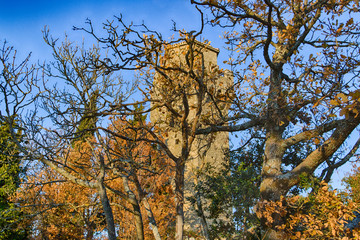 Medieval tower behind branches