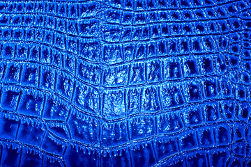 Crocodile leather texture background