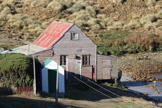 Fischerhütte-Falklandinseln