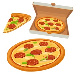 Whole pizza and slices of pizza pepperoni in open white box.Isolated vector flat illustration for poster, menus, logotype, brochure, web and icon.